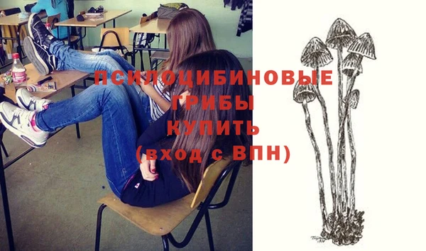 гидропоника Балабаново